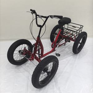 2025 terza bicicletta a 4 ruote con quattro bici da neve a pedali grassi aggiornata Quad può equipaggiare tutti i motori elettrici centrali - Product Image 5