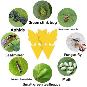 Pièges collants jaunes double face de forme irrégulière pour le contrôle des mouches des fruits, des moucherons, des thrips dans les vergers, à insérer au <span class=keywords><strong>sol</strong></span> - Product Image 1