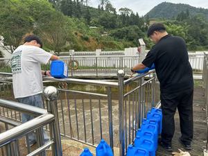 แบคทีเรียกำจัดกำมะถันและกำจัดกลิ่นในน้ำเสียความเข้มข้นสูงจากปศุสัตว์และสัตว์ปีก BioPower400 - Product Image 5