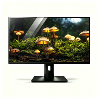 Nouvel écran de jeu plat large de 27 pouces 2K 165Hz IPS LED, temps de réponse de 5 ms, HDMIx2 DPx2, montage VESA, orienté vers les entreprises