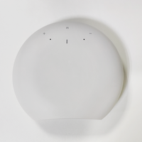 Ağ Ses Akış Cihazı Ev Tipi Amplifikatör Kablosuz Stereo Yüksek Kaliteli Ses Müzik Alıcısı WiFi 2.4G&5G özellikli