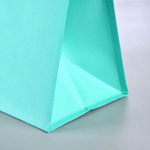 Bolsa Térmica de Aluminio para Alimentos, Bolsa de Embalaje para Pasteles, Bolsa Térmica para Llevar Comida, Bolsa Térmica para Mantener la Frescura, Bolsa Térmica de Tela No Tejida, Bolsas para Comida Rápida - Product Image 6