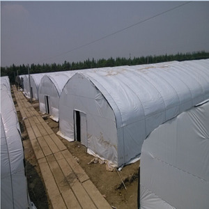 Invernadero profesional, duradero y automatizado de un solo tramo, tipo túnel grande de polietileno, con oscurecimiento y privación de luz, para cultivo de hongos y <span class=keywords><strong>hierbas</strong></span> - Product Image 1