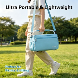 Bolsa Térmica Portátil de 12V CC y 23L, Ecológica, para Alimentos, con Batería USB, Plegable, para Uso en Exteriores - Product Image 5