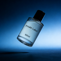 Parfum de créateur unisexe de haute qualité, eau de parfum personnalisée, longue durée, fruité, boisé, design attrayant, style luxueux, envoûtant