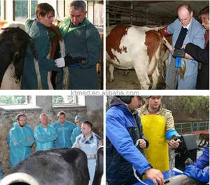 <span class=keywords><strong>เครื่อง</strong></span>อัลตราซาวด์สัตวแพทย์แบบพกพา <span class=keywords><strong>เครื่อง</strong></span>อัลตราซาวด์สัตว์เลี้ยง อีโคกราโฟสัตวแพทย์แบบพกพา อัลตราซาวด์สัตวแพทย์ - Product Image 6