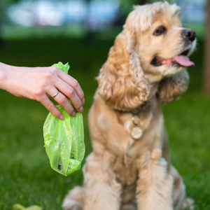 PLA + PBAT 애완 동물 개 똥 생분해 성 쓰레기 봉투 플라스틱 포장 맞춤형 개 똥 가방 디스펜서 - Product Image 6