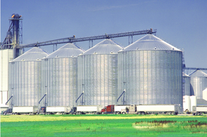 Silo à malt FTSILO 500 tonnes Silo conique Silos pour stocker les céréales - Product Image 2