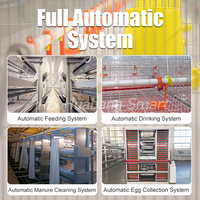 Huabang H-Type Hop-Dip Cage de poulet de ponte d'élevage en acier galvanisé avec longue durée de vie