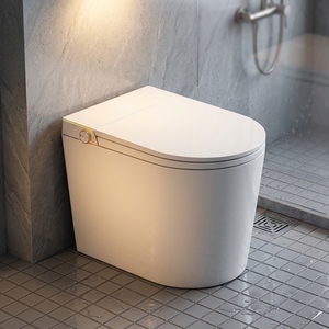 WC monobloc en céramique de haute qualité, 520 mm, compact, sans bride, à chasse directe - Product Image 1
