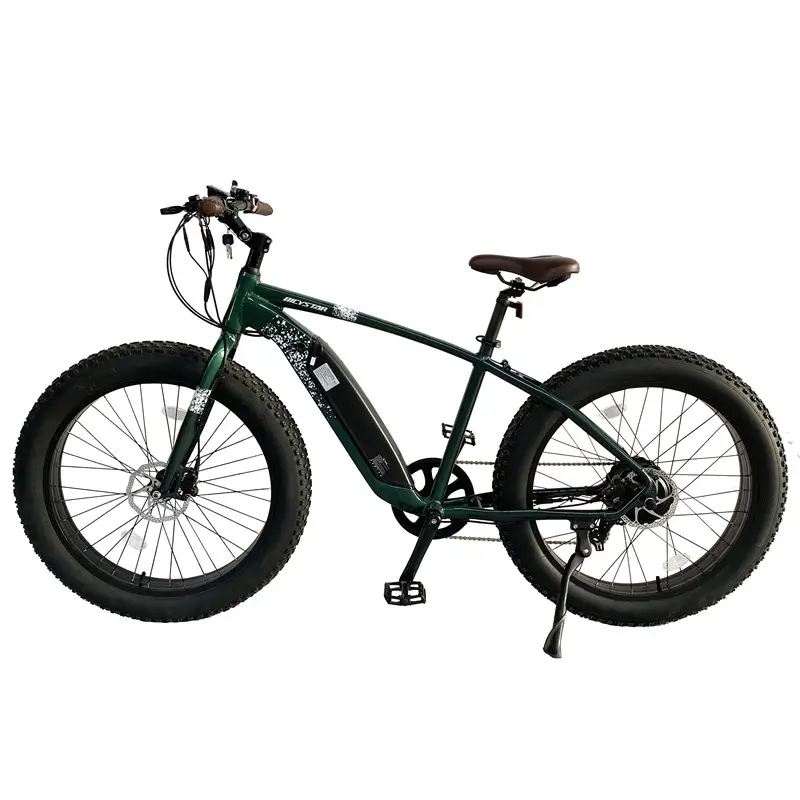 2019 china wholesale new design electric bike with 500W,elctricas electric bicycle 500w,fat tire electric bike 750