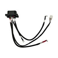 Kabel Daya Tahan Air dengan Konektor Terminal untuk Kendaraan Energi Baru Solusi Desain Kabel Khusus Produsen Kabel Harness