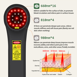 อุปกรณ์กายภาพบำบัดด้วยเลเซอร์ บรรเทาอาการปวด โรคเส้นประสาทอักเสบ การอักเสบ และการรักษาอาการบาดเจ็บสำหรับสัตว์เลี้ยง สุนัข ม้า โรคกระดูกอักเสบ - Product Image 2