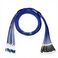 Câble de raccordement en fibre optique blindé anti-rongeurs 10G à 12 fibres monomode, salle informatique, cybercafé, fibre de queue