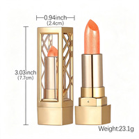 Rouge à lèvres de luxe en tube doré creux, nacré scintillant, velours brillant, métallique, haute pigmentation, maquillage cosmétique pour les lèvres, marque privée