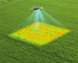 Drone multispectral <span class=keywords><strong>Mavic</strong></span> 3m version mondiale avec caméra CMOS RGB 4/<span class=keywords><strong>3</strong></span>, quatre caméras multispectrales 5MP pour l'agriculture et la topographie - Product Image 5