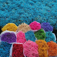 Bouquet de fleurs séchées romantiques pour femmes, fleurs préservées, gypsophile séchée, vente en gros