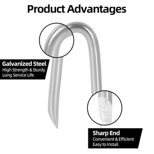 Clous en U galvanisés de 3/4 et 1 pouce, <span class=keywords><strong>agrafes</strong></span> en U pour clôtures agricoles, construction et fixation de grillages métalliques, prix usine - Product Image 2
