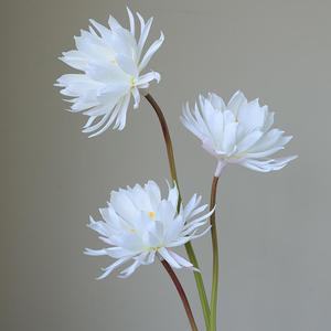 Venta al por mayor de fábrica: Flor de loto artificial de seda de tallo único de 75 cm, lirio de agua para floristerí<span class=keywords><strong>a</strong></span> de bodas, suministro <span class=keywords><strong>a</strong></span> granel, decoración Zen para el hogar y hoteles. - Product Image 1