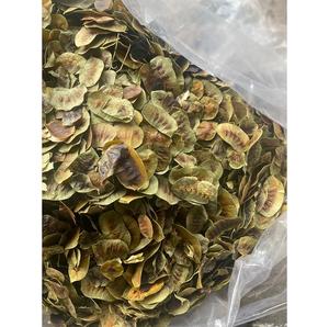 Gousse de Cassia Angustifolia pure offrant un soutien naturel à base de plantes pour la santé digestive, détoxification douce, nettoyage du côlon - Product Image 5