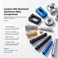 Pièces en aluminium CNC personnalisées OEM, fraisage 3 axes, 4 axes, 5 axes, service d'anodisation pour composants industriels