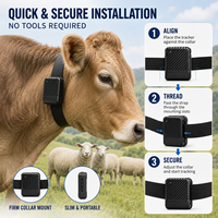 Traceur GPS en temps réel pour bovins et localisateur de moutons, dispositif de gestion du bétail 4G avec support de collier étanche et carte satellite