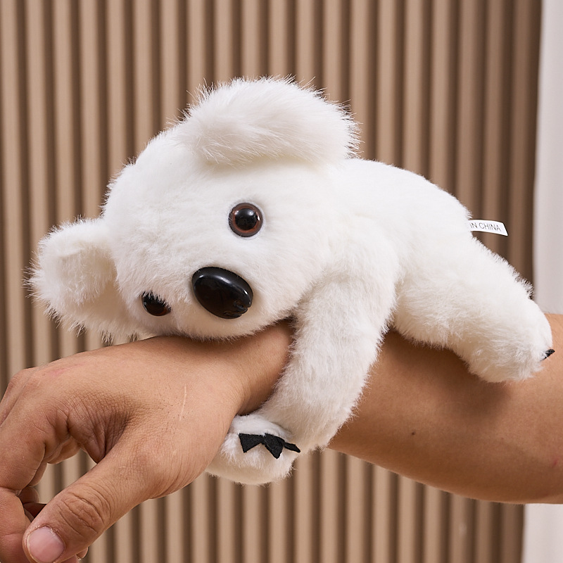 Koala blanco sentado en un solo disparo