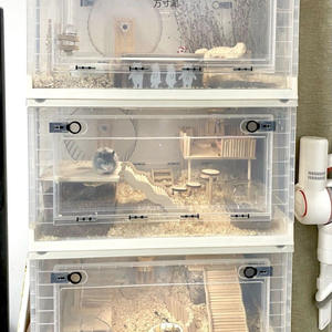 Gabbia per Rettili, Set di Lusso per Allevamento, Gabbia Pieghevole in Plastica Trasparente di Lusso per Porcellini d'India - Product Image 2