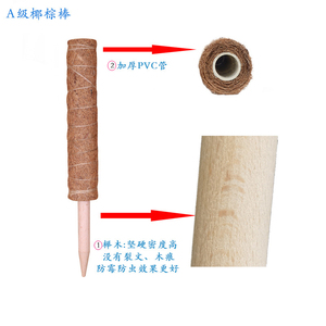 Hot Bán Rêu Cực <span class=keywords><strong>Coco</strong></span> Gậy Cho Leo-Kế Hoạch Hỗ Trợ Cho Monstera Và Hoa - Product Image 2