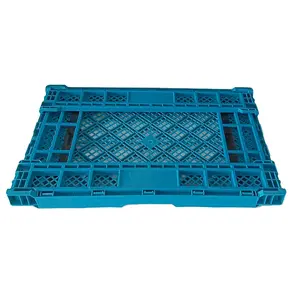 Heavy-Duty Foldable Plastic Crates Recyclable PP Mesh Fruit Vegetable Storage ContainersFolding Container Type