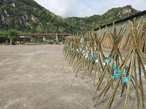 Agricultural Bamboo Stakes Bamboo <b>Garden</b> Stakes Natural Tonkin <b>Cane</b> Vietnam Manufacturer Wholesale - Product Image 4