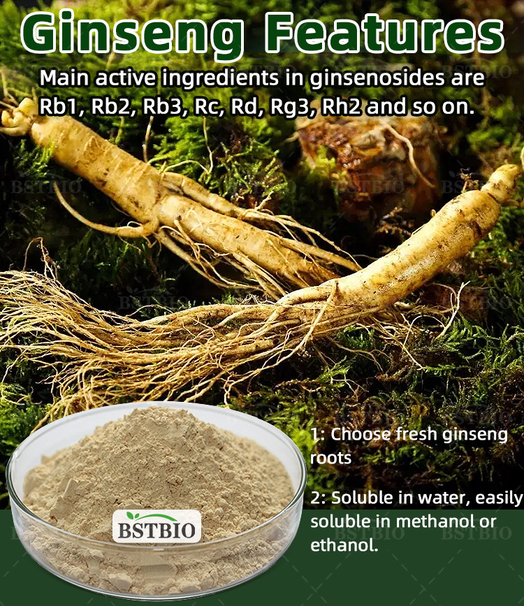 Extrait De Racine De Ginseng Panax Bio - Poudre, 80% Ginsénosides - Marque Anamyaherbal, Origine Inde