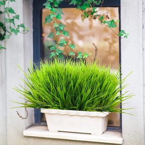 Plantes artificielles en plastique <span class=keywords><strong>de</strong></span> blé résistant aux rayons UV plantes <span class=keywords><strong>de</strong></span> <span class=keywords><strong>gazon</strong></span> artificielles pour terrasse extérieure mariage bureau Restaurant - Product Image 2