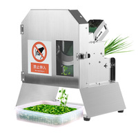 Hoge Efficiëntie Elektrische Multifunctionele RVS Fruit- & Groentesnijder Inclusief Aardappelrasp Motor Kerncomponent