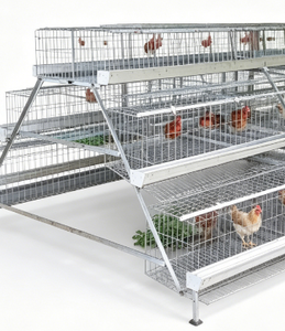 Cage de production d'œufs à 3 niveaux de type 96 pour poulailler - Product Image 2