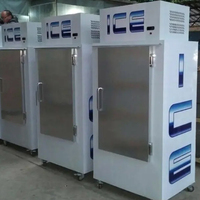 Congélateur commercial autonome à faible consommation, température polaire réglable, stockage de sacs de glace, porte à ouverture frontale, stockage alimentaire 1000L