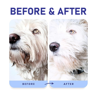 Shampooing Naturel pour Chiens et Chats aux Extraits de Fruits – Ultra Éclaircissant et Éliminateur d'Odeurs – Toilettage en Profondeur Personnalisable