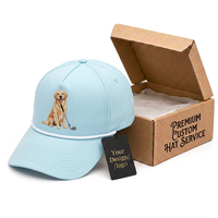 Casquette de baseball personnalisée à 5 panneaux en coton avec logo brodé, visière incurvée unie, réglable, vente en gros OEM