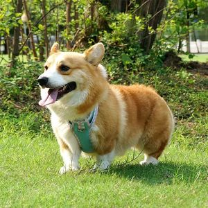 Petit harnais pour chien de taille moyenne et grande Gilet en nylon durable avec harnais réfléchissant respirant et sûr pour animaux de compagnie - Product Image 3