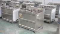 WASC-10 Luchtbel Groente-En Fruitwasmachine Met Ozon Ultrasone Apparatuur