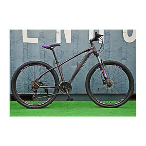 China supplier 2022 new mountain bike full suspension,downhill bike mountain,all terrain mtb bikes alloy rim mountain bike pink