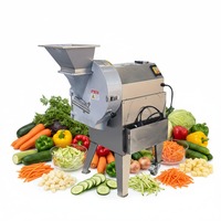 Industriële groente- en fruitsnijder, -schaaf en -hakmachine voor chips, aardappelen en salades