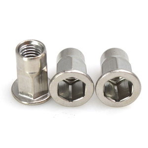 <span class=keywords><strong>Ss304</strong></span> Thép Không Gỉ Giảm Hex Head-Bên Trong Hex Đinh Tán NUT - Product Image 3