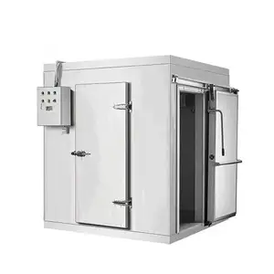 High Efficiency Customized Freezing Room Walk In Cooler Unit Commercial Refrigeration Cool Cold Room Price For Fruit Meat