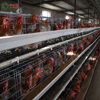 Cage à poulets automatique de type H avec batterie intelligente pour élevage avicole