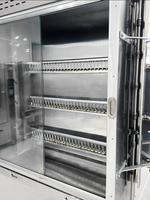 Machine à Snacks 6 Broches, Grills à Poulet au Gaz en Acier Inoxydable, Four Rôtissoire Automatique Multifonctionnel