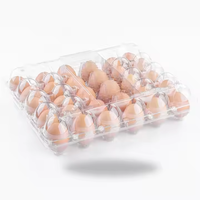 Vente en gros d'usine de barquettes à œufs en plastique transparent PET, boîte à œufs de poulet, emballage réutilisable pour 30 œufs