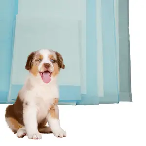 China Hersteller Super Soft Breath able Female Dog Windeln Pet Pad mit hoher Saugfähig keit