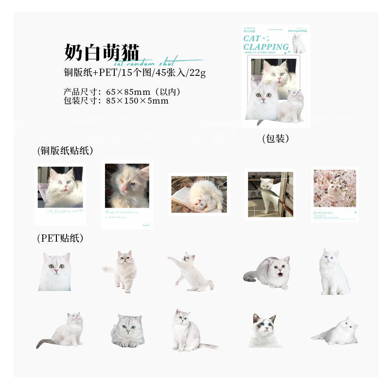 A 1 Milky White Cute Cat