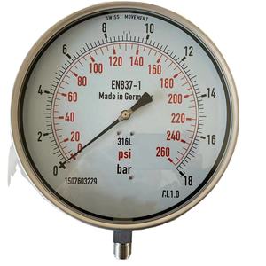 10 "(250 मिमी) एन 837-1 स्टेनलेस स्टील दबाव गेज-बड़े डायल, 1/2" बस्प थ्रेड, 0-18bar/260pi रेंज - Product Image 1